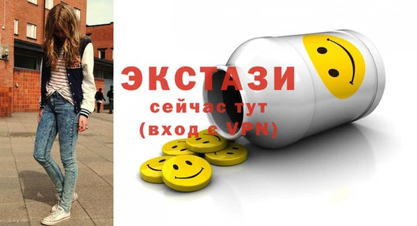 гидра Богородск
