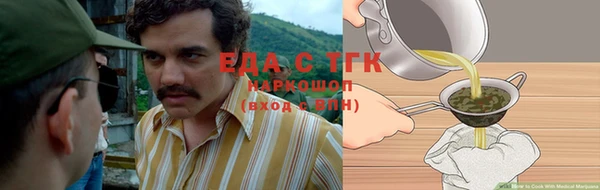 гидра Богородск