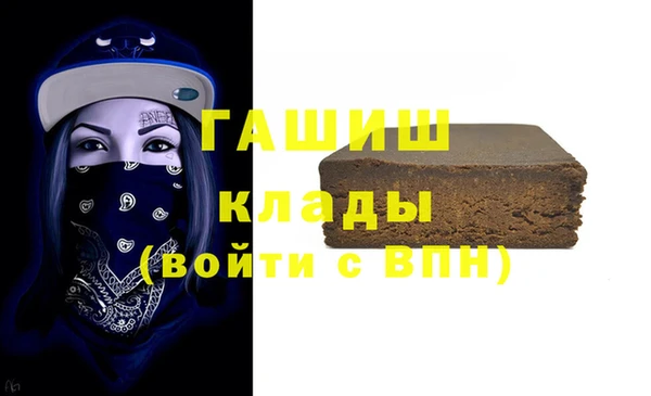 гидра Богородск