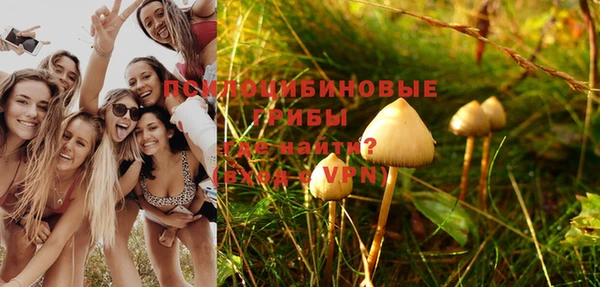 скорость Богданович