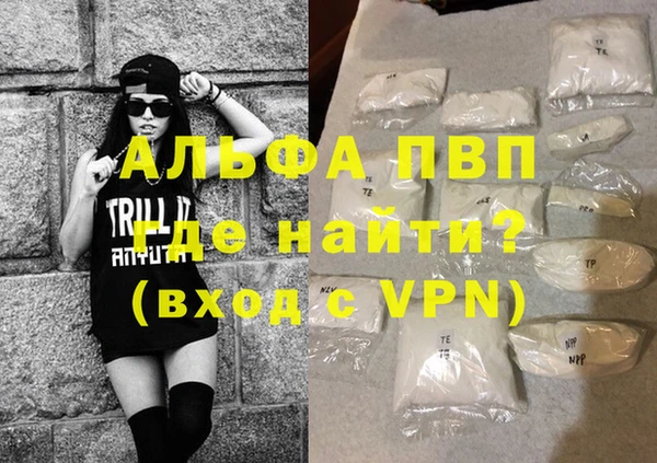 гидра Богородск