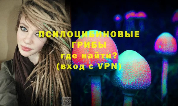 гидра Богородск