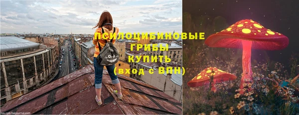 бутират Богородицк