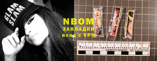 гидра Богородск