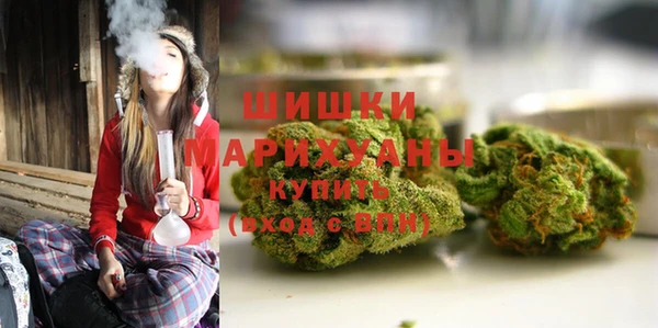 бутират Богородицк