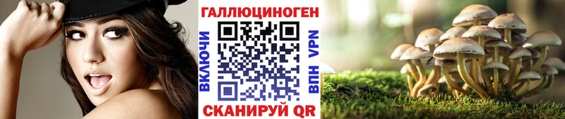 Псилоцибиновые грибы Magic Shrooms  Нерюнгри 
