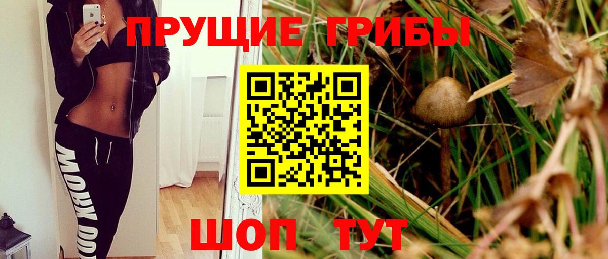 Галлюциногенные грибы ЛСД Нерюнгри