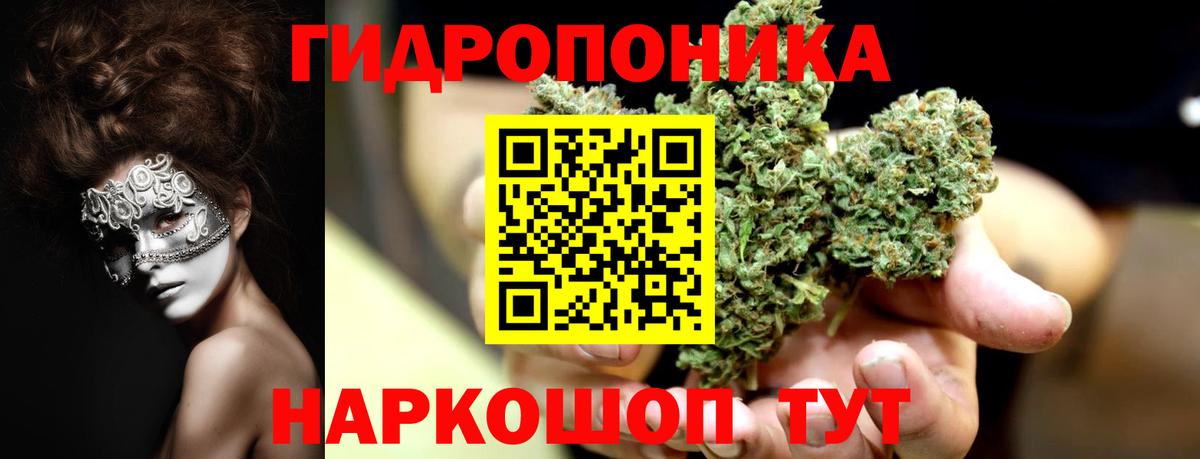 Нерюнгри  Каннабис OG Kush  Каннабис VHQ  Вход с VPN  МАРИХУАНА SATIVA & INDICA 